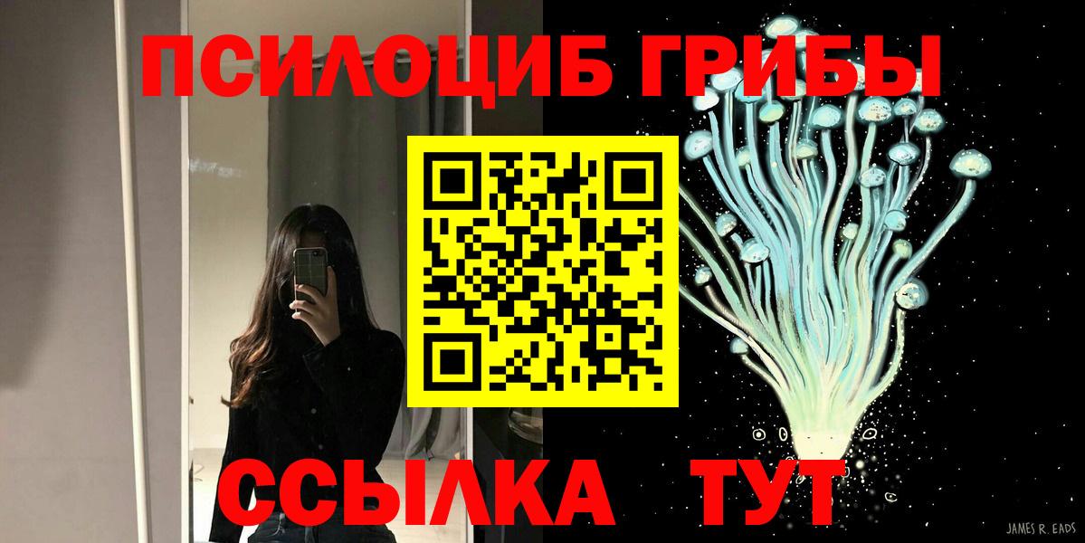 Миллерово  Галлюциногенные грибы MAGIC MUSHROOMS  Вход с VPN 